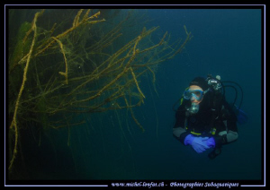 Diving a small lake not far from home... Que du bonheur..... by Michel Lonfat 